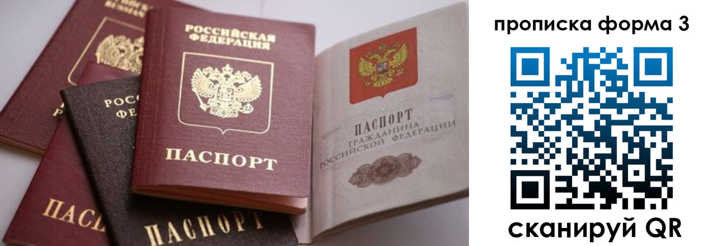 прописка для школы в Белореченске
